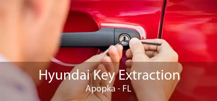 Hyundai Key Extraction Apopka - FL