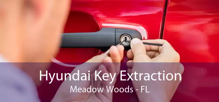 Hyundai Key Extraction Meadow Woods - FL