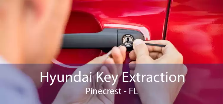 Hyundai Key Extraction Pinecrest - FL