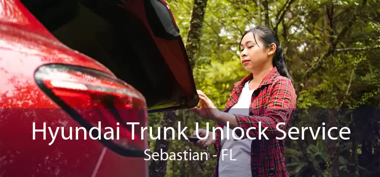 Hyundai Trunk Unlock Service Sebastian - FL