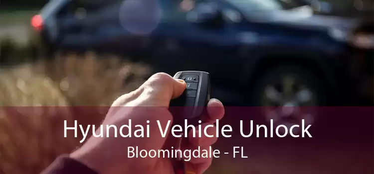 Hyundai Vehicle Unlock Bloomingdale - FL