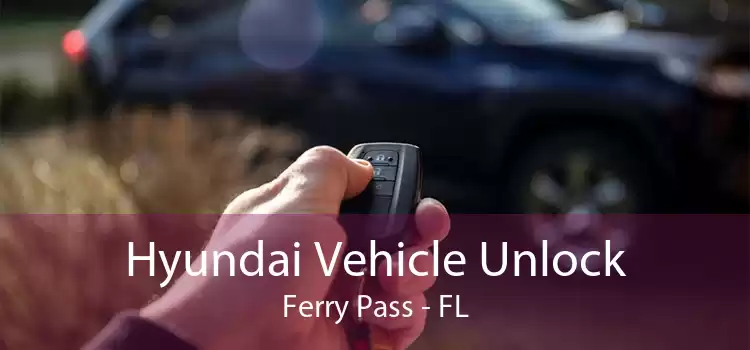 Hyundai Vehicle Unlock Ferry Pass - FL