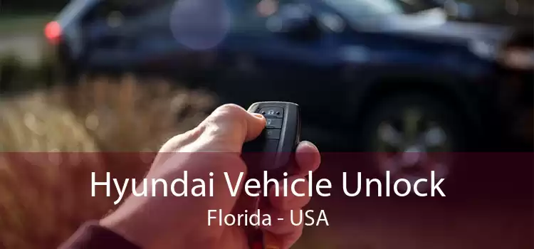 Hyundai Vehicle Unlock Florida - USA