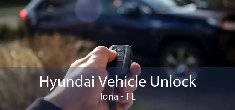 Hyundai Vehicle Unlock Iona - FL