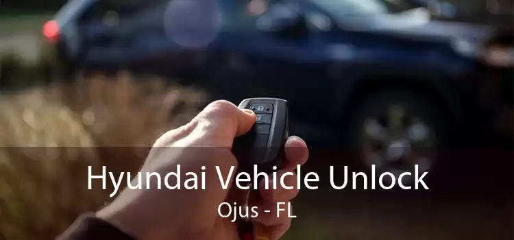 Hyundai Vehicle Unlock Ojus - FL