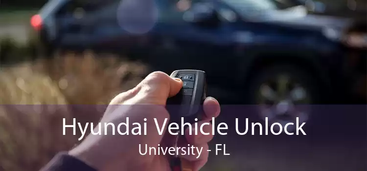 Hyundai Vehicle Unlock University - FL