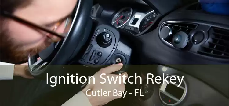 Ignition Switch Rekey Cutler Bay - FL