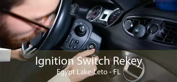 Ignition Switch Rekey Egypt Lake-Leto - FL