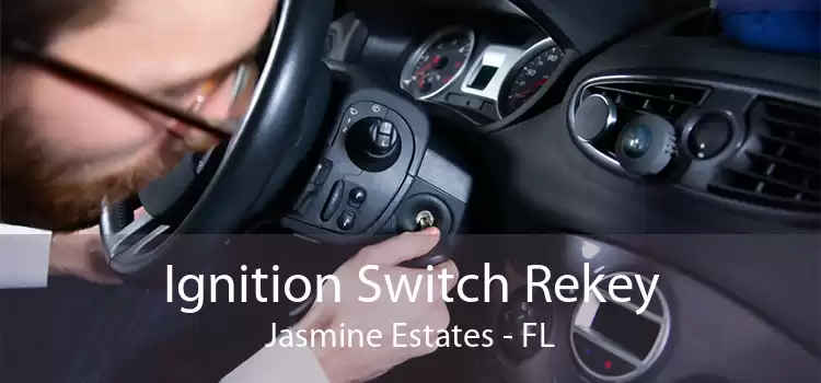 Ignition Switch Rekey Jasmine Estates - FL