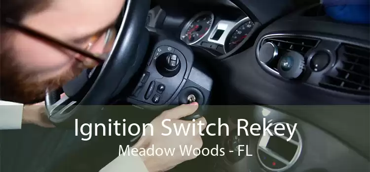 Ignition Switch Rekey Meadow Woods - FL