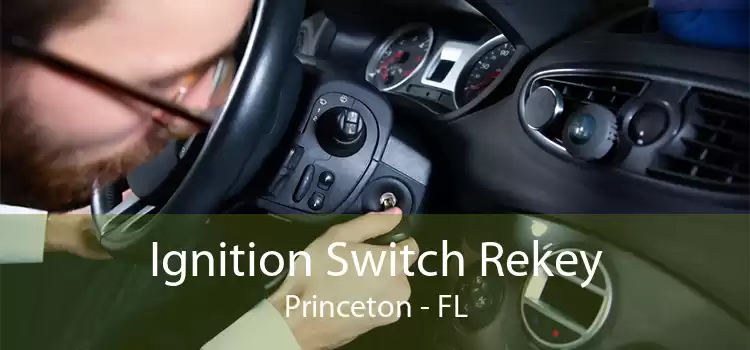 Ignition Switch Rekey Princeton - FL