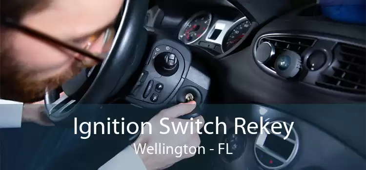 Ignition Switch Rekey Wellington - FL