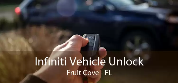 Infiniti Vehicle Unlock Fruit Cove - FL