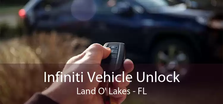 Infiniti Vehicle Unlock Land O' Lakes - FL