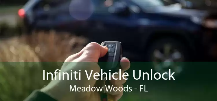Infiniti Vehicle Unlock Meadow Woods - FL