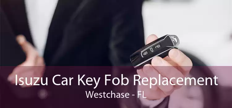 Isuzu Car Key Fob Replacement Westchase - FL