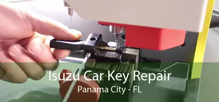 Isuzu Car Key Repair Panama City - FL