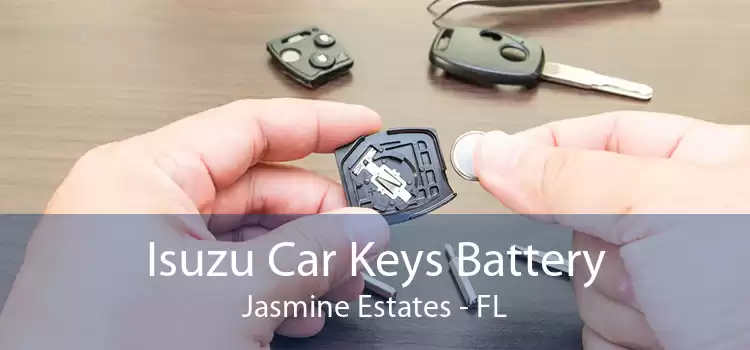Isuzu Car Keys Battery Jasmine Estates - FL