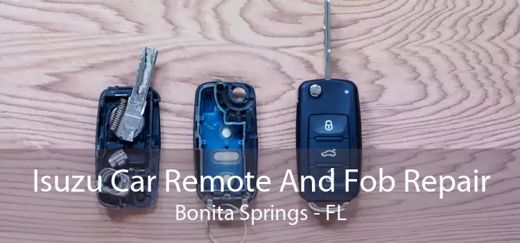 Isuzu Car Remote And Fob Repair Bonita Springs - FL
