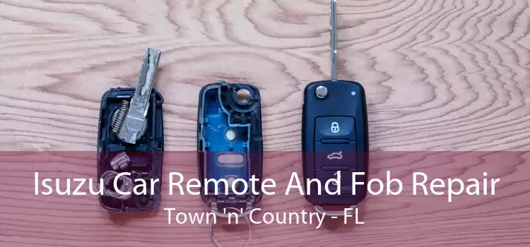 Isuzu Car Remote And Fob Repair Town 'n' Country - FL