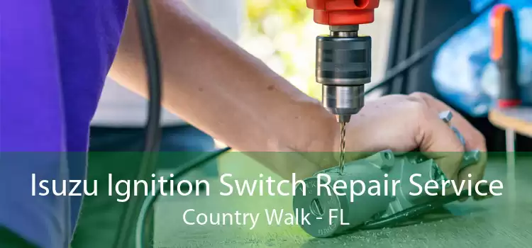 Isuzu Ignition Switch Repair Service Country Walk - FL