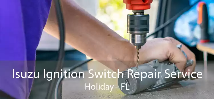 Isuzu Ignition Switch Repair Service Holiday - FL