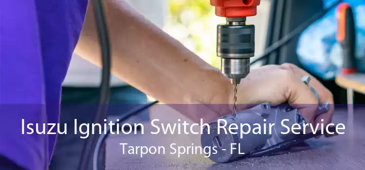 Isuzu Ignition Switch Repair Service Tarpon Springs - FL