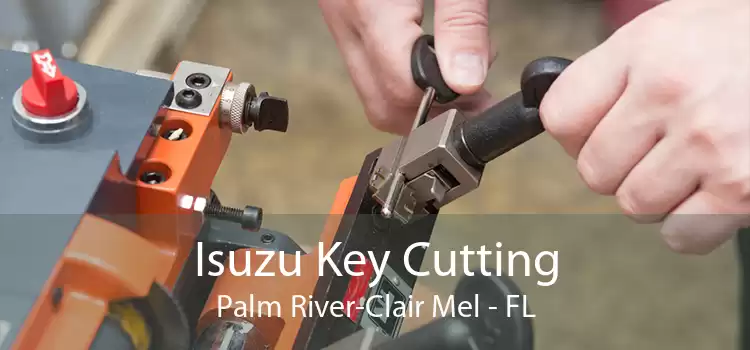 Isuzu Key Cutting Palm River-Clair Mel - FL