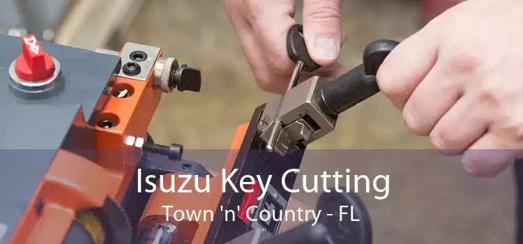 Isuzu Key Cutting Town 'n' Country - FL