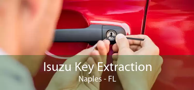 Isuzu Key Extraction Naples - FL