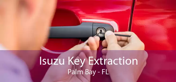 Isuzu Key Extraction Palm Bay - FL