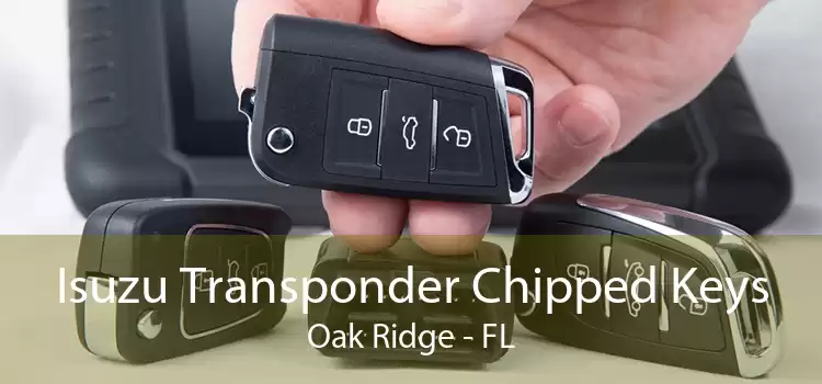 Isuzu Transponder Chipped Keys Oak Ridge - FL