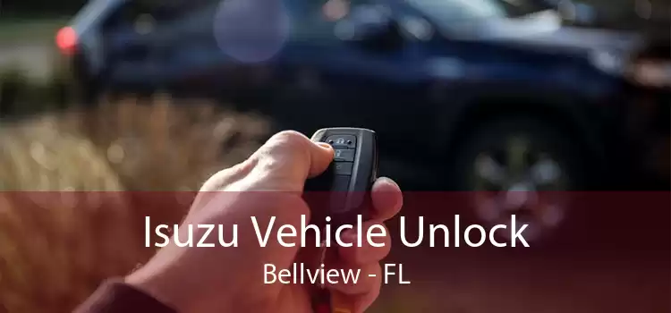 Isuzu Vehicle Unlock Bellview - FL