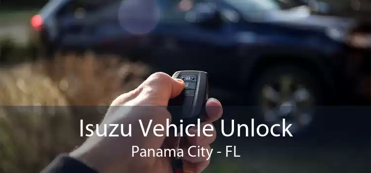 Isuzu Vehicle Unlock Panama City - FL