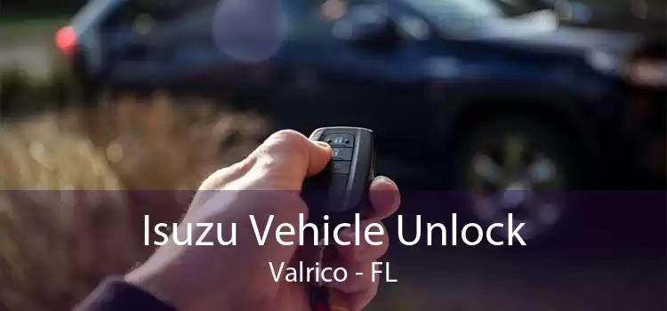 Isuzu Vehicle Unlock Valrico - FL