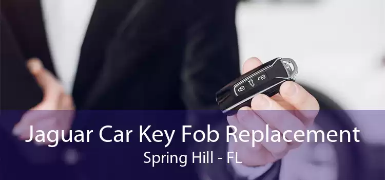 Jaguar Car Key Fob Replacement Spring Hill - FL