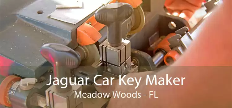 Jaguar Car Key Maker Meadow Woods - FL