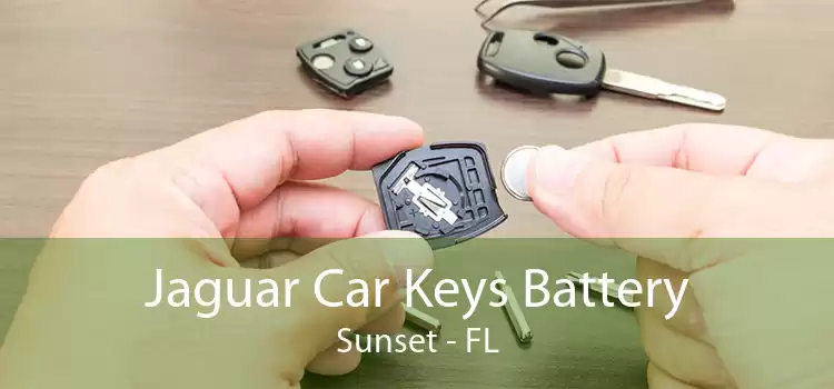 Jaguar Car Keys Battery Sunset - FL