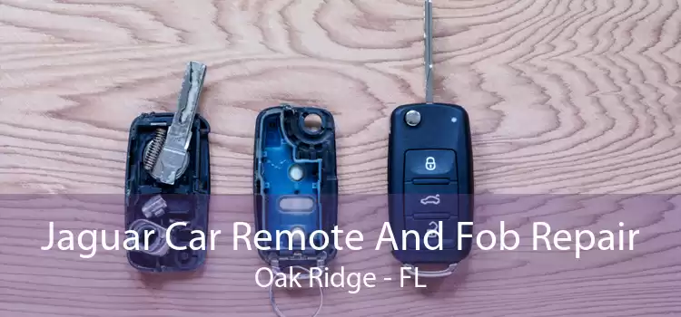 Jaguar Car Remote And Fob Repair Oak Ridge - FL