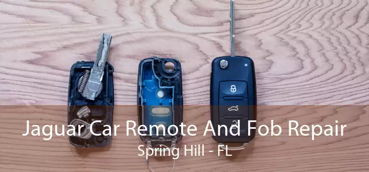 Jaguar Car Remote And Fob Repair Spring Hill - FL