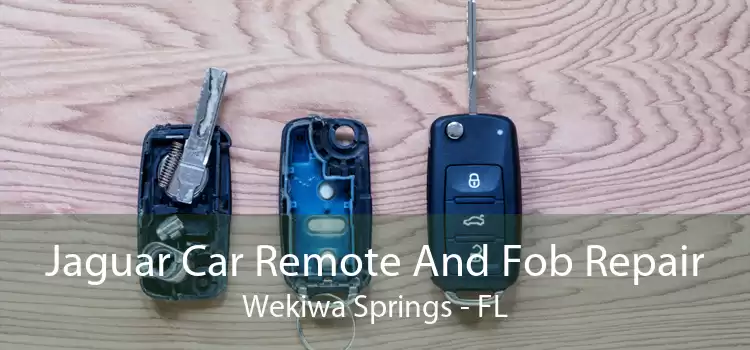 Jaguar Car Remote And Fob Repair Wekiwa Springs - FL