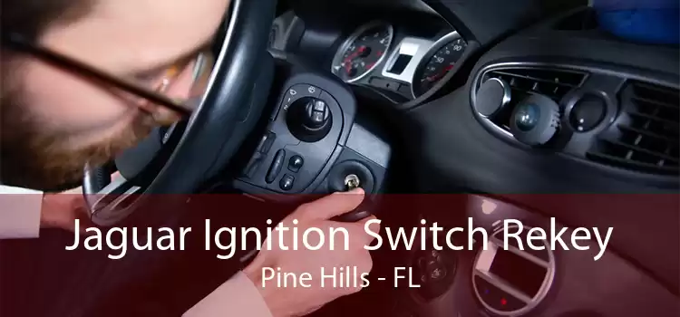Jaguar Ignition Switch Rekey Pine Hills - FL