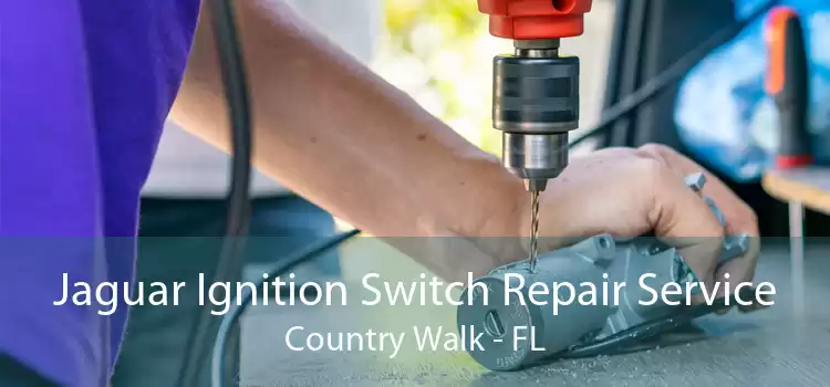Jaguar Ignition Switch Repair Service Country Walk - FL