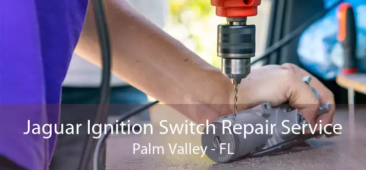 Jaguar Ignition Switch Repair Service Palm Valley - FL