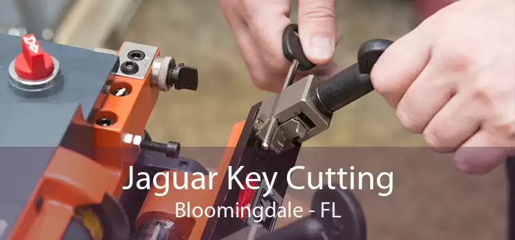 Jaguar Key Cutting Bloomingdale - FL