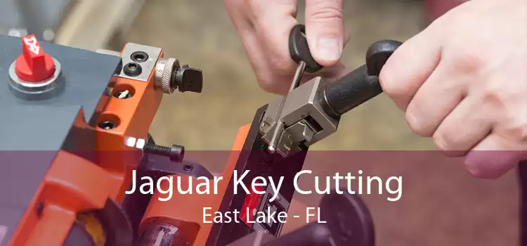 Jaguar Key Cutting East Lake - FL
