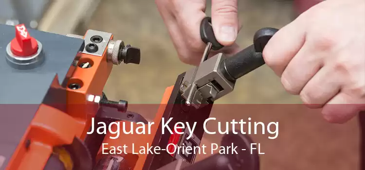Jaguar Key Cutting East Lake-Orient Park - FL