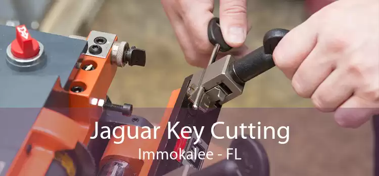 Jaguar Key Cutting Immokalee - FL