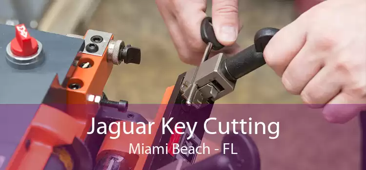 Jaguar Key Cutting Miami Beach - FL