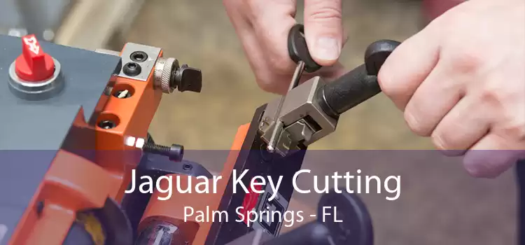 Jaguar Key Cutting Palm Springs - FL